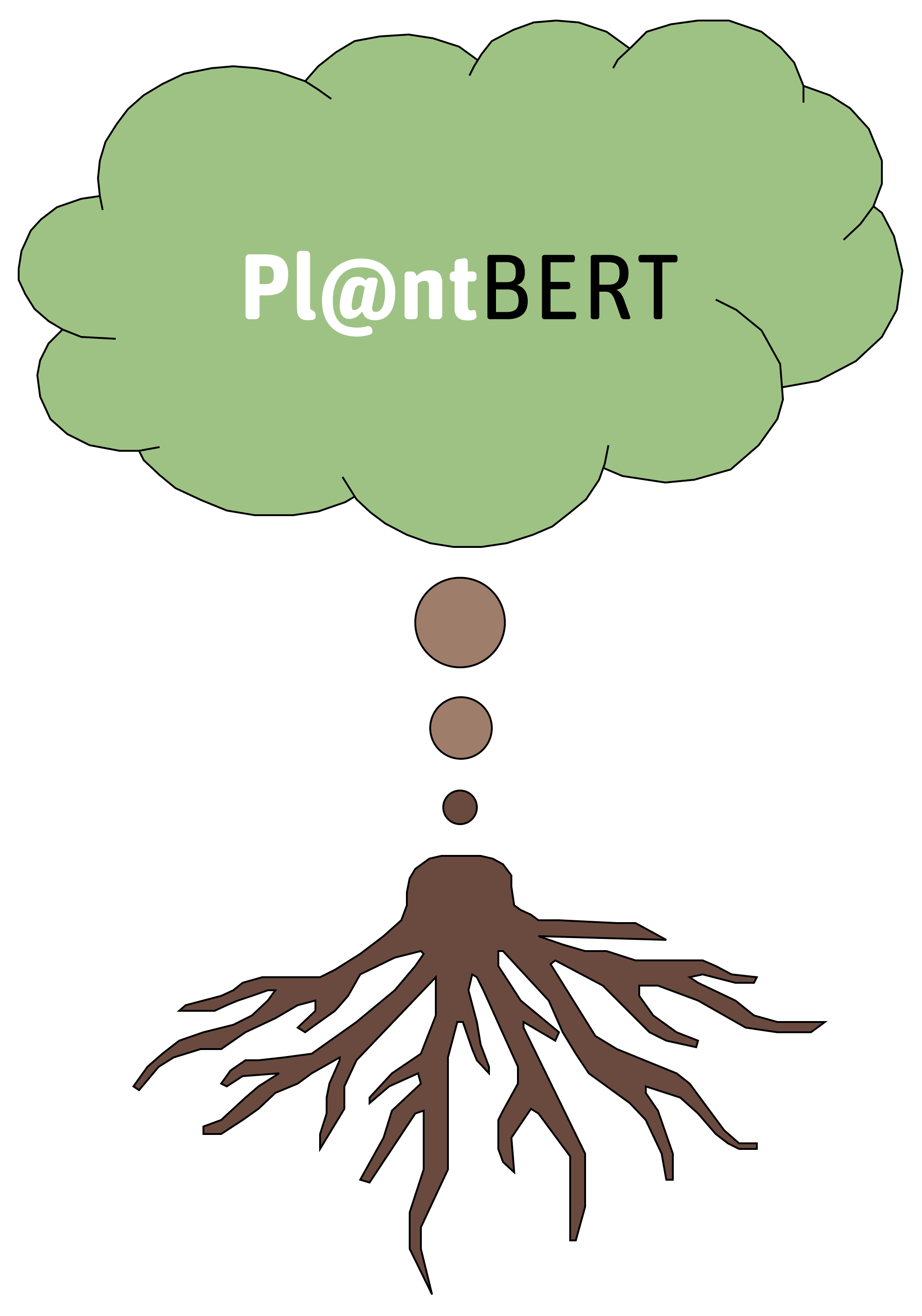 plantbert